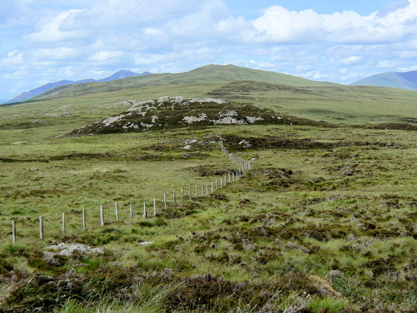 Shivery Knott Shivery Knott